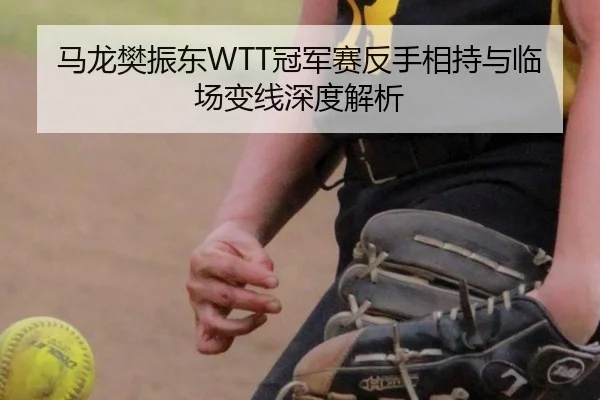 马龙樊振东WTT冠军赛反手相持与临场变线深度解析