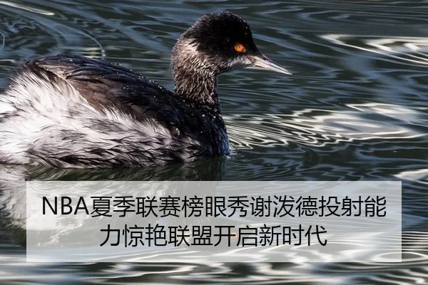 NBA夏季联赛榜眼秀谢泼德投射能力惊艳联盟开启新时代